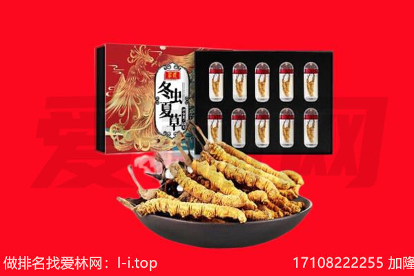 天津静海区回收虫草.jpg